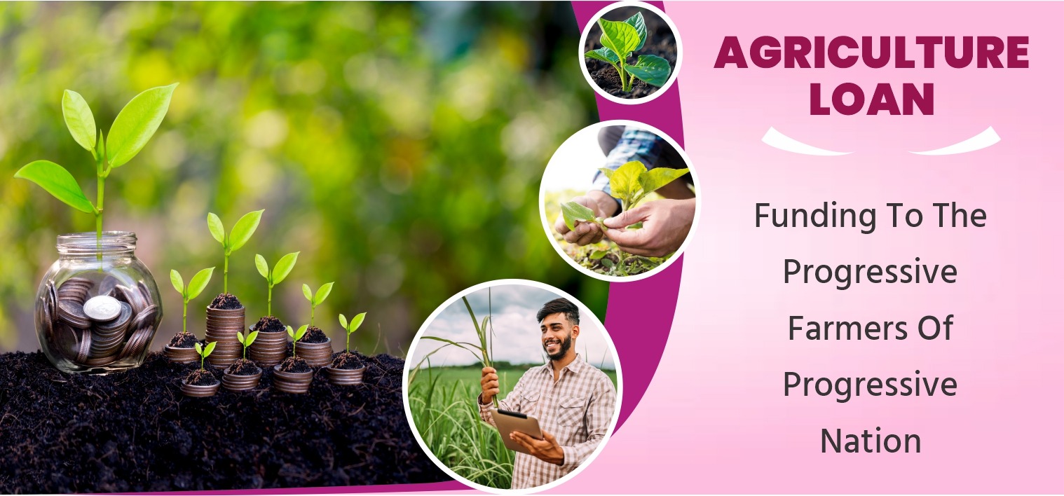 WhatsApp Image 2025-03-05 at 11.55.29 AM