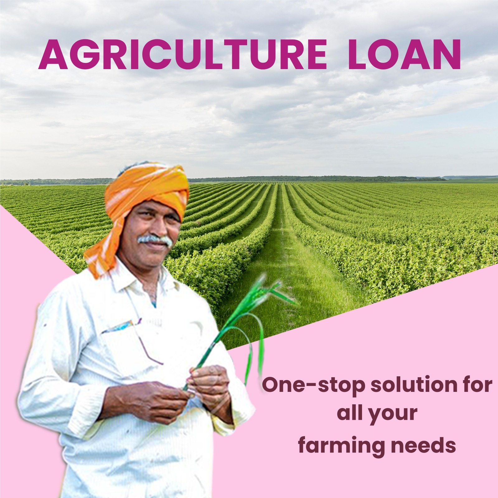 WhatsApp Image 2025-03-07 at 12.03.34 PM